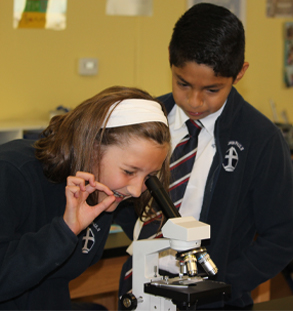 Female student looking through microscope with male student assisting